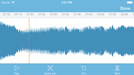 screenshot eXtra Voice Recorder